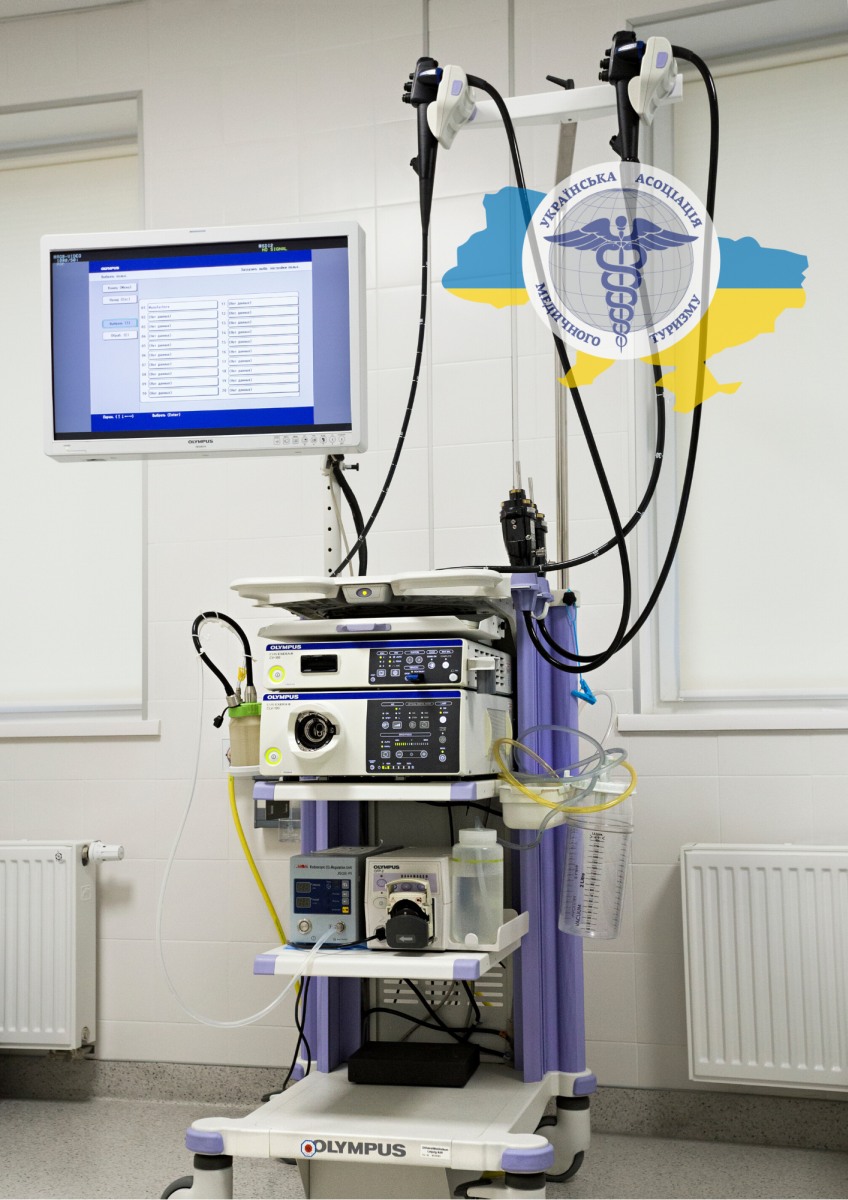 Endoscopic equipment